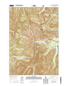 Bull Trout Point Idaho Current topographic map, 1:24000 scale, 7.5 X 7.5 Minute, Year 2013