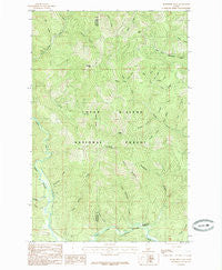 Bumblebee Peak Idaho Historical topographic map, 1:24000 scale, 7.5 X 7.5 Minute, Year 1985