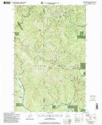 Bumblebee Peak Idaho Historical topographic map, 1:24000 scale, 7.5 X 7.5 Minute, Year 1996