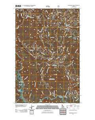 Bumblebee Peak Idaho Historical topographic map, 1:24000 scale, 7.5 X 7.5 Minute, Year 2011