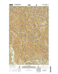 Bumblebee Peak Idaho Current topographic map, 1:24000 scale, 7.5 X 7.5 Minute, Year 2013