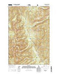 Burgdorf Idaho Current topographic map, 1:24000 scale, 7.5 X 7.5 Minute, Year 2013