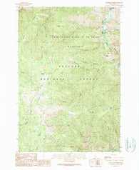 Burgdorf Summit Idaho Historical topographic map, 1:24000 scale, 7.5 X 7.5 Minute, Year 1989