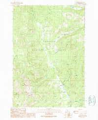 Burgdorf Idaho Historical topographic map, 1:24000 scale, 7.5 X 7.5 Minute, Year 1989