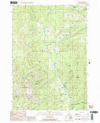 Burgdorf Idaho Historical topographic map, 1:24000 scale, 7.5 X 7.5 Minute, Year 1989