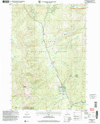 Burgdorf Idaho Historical topographic map, 1:24000 scale, 7.5 X 7.5 Minute, Year 2004