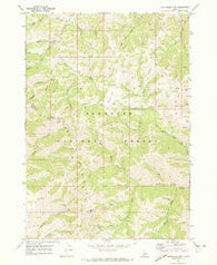 Buttercup Mtn Idaho Historical topographic map, 1:24000 scale, 7.5 X 7.5 Minute, Year 1970