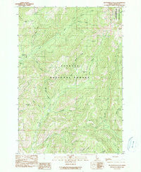 Butterfield Gulch Idaho Historical topographic map, 1:24000 scale, 7.5 X 7.5 Minute, Year 1990