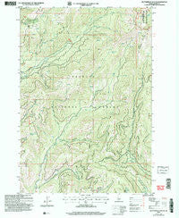 Butterfield Gulch Idaho Historical topographic map, 1:24000 scale, 7.5 X 7.5 Minute, Year 2004