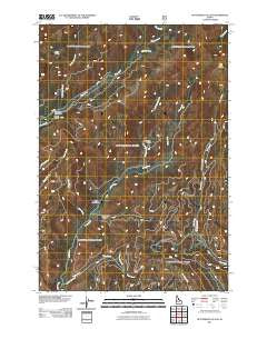 Butterfield Gulch Idaho Historical topographic map, 1:24000 scale, 7.5 X 7.5 Minute, Year 2011