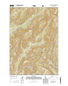 Butterfield Gulch Idaho Current topographic map, 1:24000 scale, 7.5 X 7.5 Minute, Year 2013