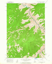 Butts Creek Point Idaho Historical topographic map, 1:24000 scale, 7.5 X 7.5 Minute, Year 1962