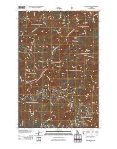 Buzzard Roost Idaho Historical topographic map, 1:24000 scale, 7.5 X 7.5 Minute, Year 2011