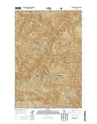 Buzzard Roost Idaho Current topographic map, 1:24000 scale, 7.5 X 7.5 Minute, Year 2013