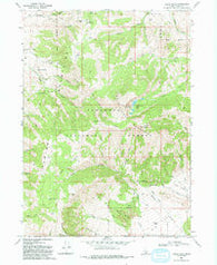 Cache Peak Idaho Historical topographic map, 1:24000 scale, 7.5 X 7.5 Minute, Year 1968