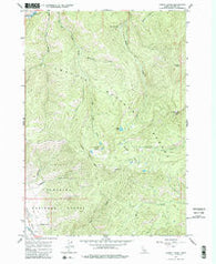 Casino Lakes Idaho Historical topographic map, 1:24000 scale, 7.5 X 7.5 Minute, Year 1963