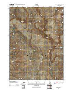 Castro Table Idaho Historical topographic map, 1:24000 scale, 7.5 X 7.5 Minute, Year 2010