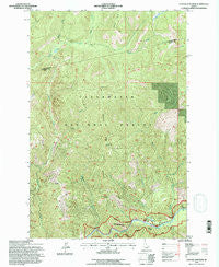 Cayuse Junction Idaho Historical topographic map, 1:24000 scale, 7.5 X 7.5 Minute, Year 1994