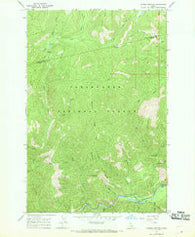 Cayuse Junction Idaho Historical topographic map, 1:24000 scale, 7.5 X 7.5 Minute, Year 1966