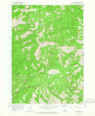 Cayuse Point Idaho Historical topographic map, 1:24000 scale, 7.5 X 7.5 Minute, Year 1964