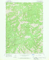 Cayuse Point Idaho Historical topographic map, 1:24000 scale, 7.5 X 7.5 Minute, Year 1964