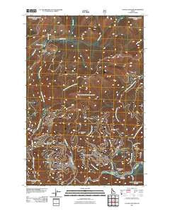 Cayuse Junction Idaho Historical topographic map, 1:24000 scale, 7.5 X 7.5 Minute, Year 2011