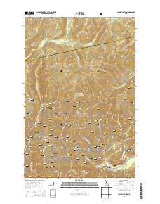 Cayuse Junction Idaho Current topographic map, 1:24000 scale, 7.5 X 7.5 Minute, Year 2013