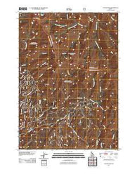 Cayuse Point Idaho Historical topographic map, 1:24000 scale, 7.5 X 7.5 Minute, Year 2011
