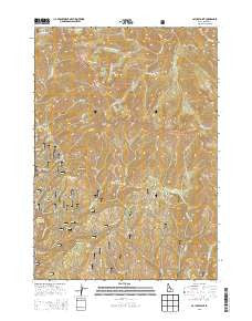 Cayuse Point Idaho Current topographic map, 1:24000 scale, 7.5 X 7.5 Minute, Year 2013
