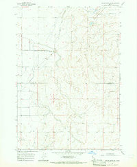 Cedar Butte SW Idaho Historical topographic map, 1:24000 scale, 7.5 X 7.5 Minute, Year 1964