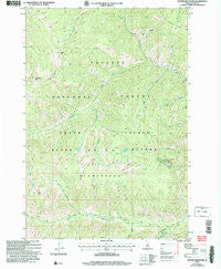 Center Mountain Idaho Historical topographic map, 1:24000 scale, 7.5 X 7.5 Minute, Year 2004