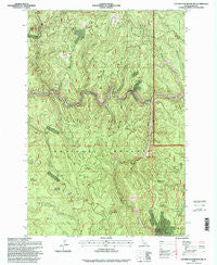 Center Star Mountain Idaho Historical topographic map, 1:24000 scale, 7.5 X 7.5 Minute, Year 1995