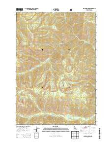 Center Mountain Idaho Current topographic map, 1:24000 scale, 7.5 X 7.5 Minute, Year 2013