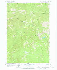 Challis Creek Lakes Idaho Historical topographic map, 1:24000 scale, 7.5 X 7.5 Minute, Year 1963
