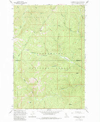 Chamberlain Mtn Idaho Historical topographic map, 1:24000 scale, 7.5 X 7.5 Minute, Year 1965