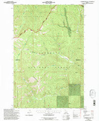 Chamberlain Mtn Idaho Historical topographic map, 1:24000 scale, 7.5 X 7.5 Minute, Year 1994
