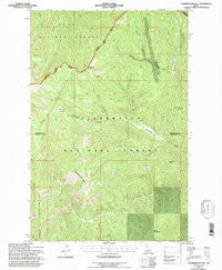 Chamberlain Mtn Idaho Historical topographic map, 1:24000 scale, 7.5 X 7.5 Minute, Year 1994