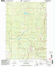 Chilcoot Peak Idaho Historical topographic map, 1:24000 scale, 7.5 X 7.5 Minute, Year 2004