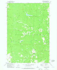 Chilcoot Peak Idaho Historical topographic map, 1:24000 scale, 7.5 X 7.5 Minute, Year 1973