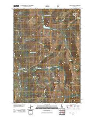Chilcoot Peak Idaho Historical topographic map, 1:24000 scale, 7.5 X 7.5 Minute, Year 2011