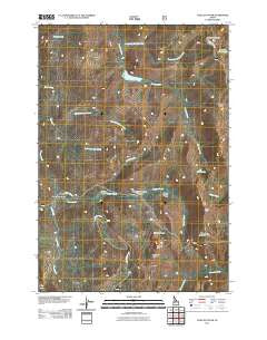 Chilcoot Peak Idaho Historical topographic map, 1:24000 scale, 7.5 X 7.5 Minute, Year 2011