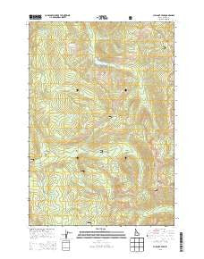 Chilcoot Peak Idaho Current topographic map, 1:24000 scale, 7.5 X 7.5 Minute, Year 2013