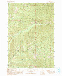 Chinook Mountain Idaho Historical topographic map, 1:24000 scale, 7.5 X 7.5 Minute, Year 1990