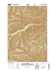 Chinook Mountain Idaho Current topographic map, 1:24000 scale, 7.5 X 7.5 Minute, Year 2013
