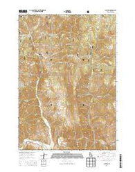 Clayton Idaho Current topographic map, 1:24000 scale, 7.5 X 7.5 Minute, Year 2013