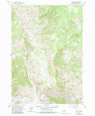 Clayton Idaho Historical topographic map, 1:24000 scale, 7.5 X 7.5 Minute, Year 1963