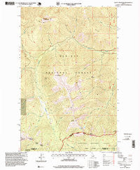 Clifty Mountain Idaho Historical topographic map, 1:24000 scale, 7.5 X 7.5 Minute, Year 1996