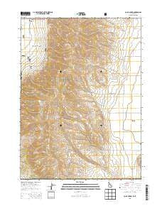 Co-op Spring Idaho Current topographic map, 1:24000 scale, 7.5 X 7.5 Minute, Year 2013