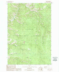 Cobalt Idaho Historical topographic map, 1:24000 scale, 7.5 X 7.5 Minute, Year 1989