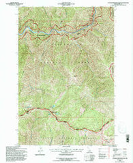 Coolwater Mountain Idaho Historical topographic map, 1:24000 scale, 7.5 X 7.5 Minute, Year 1994
